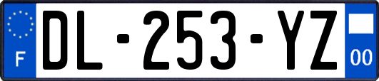 DL-253-YZ