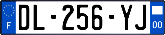 DL-256-YJ