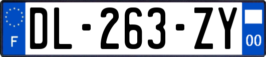 DL-263-ZY