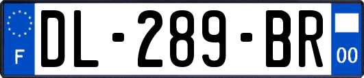 DL-289-BR