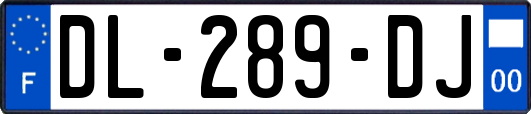 DL-289-DJ