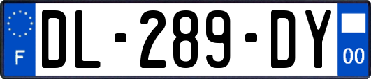 DL-289-DY