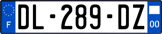 DL-289-DZ