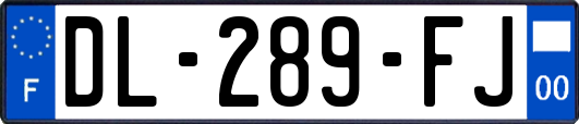 DL-289-FJ