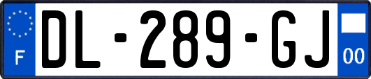 DL-289-GJ