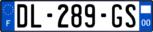 DL-289-GS