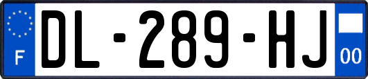 DL-289-HJ