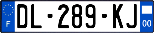DL-289-KJ