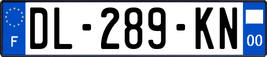 DL-289-KN