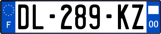 DL-289-KZ