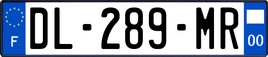DL-289-MR