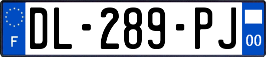 DL-289-PJ