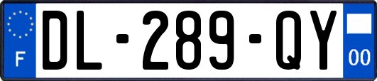 DL-289-QY