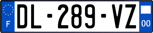 DL-289-VZ