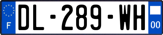 DL-289-WH