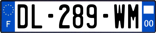 DL-289-WM