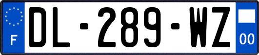 DL-289-WZ