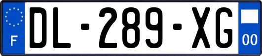 DL-289-XG