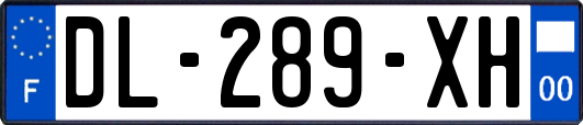 DL-289-XH