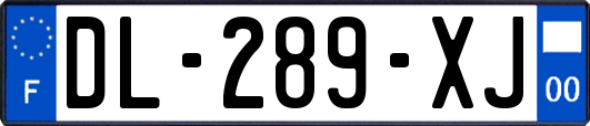 DL-289-XJ