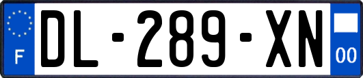 DL-289-XN