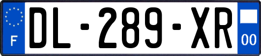 DL-289-XR