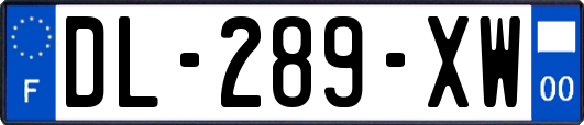 DL-289-XW