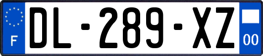 DL-289-XZ