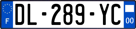 DL-289-YC