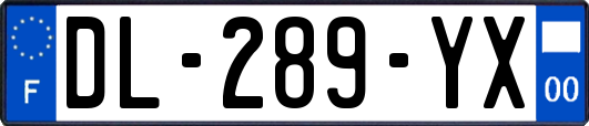 DL-289-YX