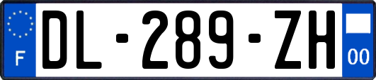 DL-289-ZH