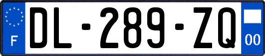 DL-289-ZQ