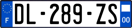 DL-289-ZS