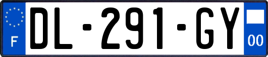 DL-291-GY