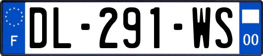 DL-291-WS