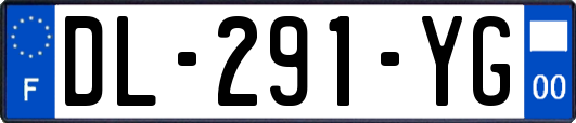 DL-291-YG