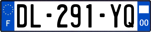 DL-291-YQ