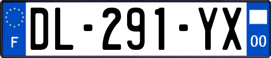 DL-291-YX
