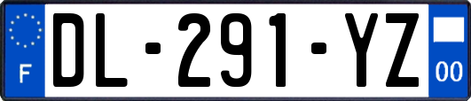 DL-291-YZ