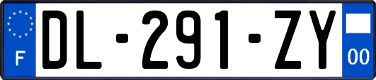 DL-291-ZY