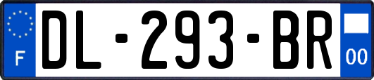 DL-293-BR