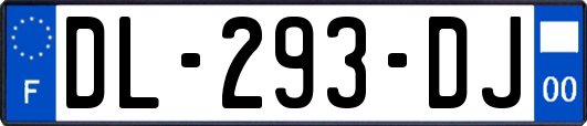 DL-293-DJ