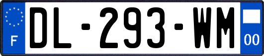 DL-293-WM