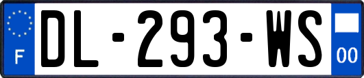 DL-293-WS