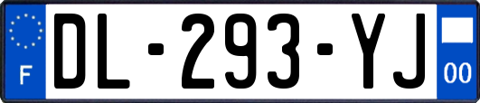 DL-293-YJ