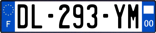 DL-293-YM