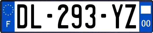 DL-293-YZ
