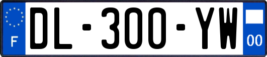 DL-300-YW