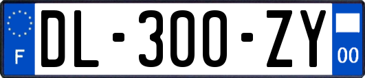 DL-300-ZY