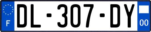 DL-307-DY